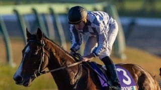 ブルームが骨折