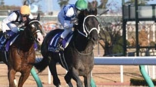 【チャンピオンズC予想オッズ】連覇目指すチュウワウィザードが予想1番人気