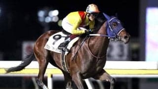 【船橋・アジュディミツオー・メモリアル結果】平和賞で出走取消のランディスシティが復調し、無傷の3連勝