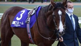 ジャパンカップ出走のブルームが骨折、ジャパンと共に香港国際競走は回避