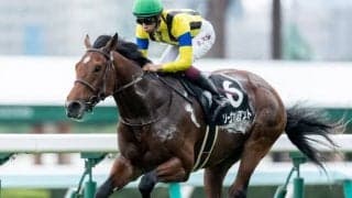 【チャレンジC予想オッズ】3歳馬ソーヴァリアントが予想1番人気
