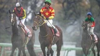 【ステイヤーズS予想オッズ】昨年の覇者オセアグレイトが予想1番人気