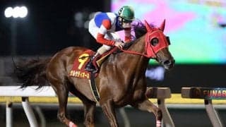 近年まれに見る“地方馬豊作の年”　もしカジノフォンテンがチャンピオンズCを勝てば…