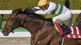 【次走】キセキは有馬記念でラストラン　引退後はブリーダーズSSで種牡馬入りへ