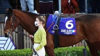 ジャパンカップ5着のグランドグローリー　12月にフランスのアルカナ繁殖セールに上場