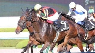 【チャレンジC展望】若くて勢いのある馬が活躍傾向、あの馬に期待したい