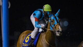 【クイーン賞】ウェルドーンは6枠10番