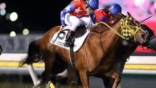 【船橋・カムイユカラスプリント結果】御神本訓史騎手騎乗のキモンルビー南関東転入後10連勝