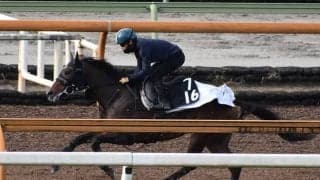 ダノンスコーピオン、朝日杯FS2週前追い切り速報/栗東トレセンニュース