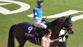 【次走】アリストテレスは武豊騎手とのコンビで有馬記念へ