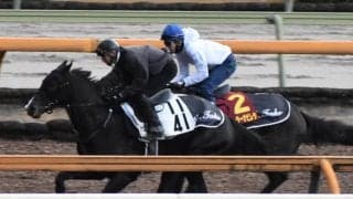 ウォーターナビレラ、阪神JF1週前追い切り速報/栗東トレセンニュース