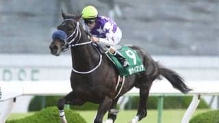 【JRA】サンライズソアがイーストスタッドで種牡馬に、2018年平安Sなど重賞2勝