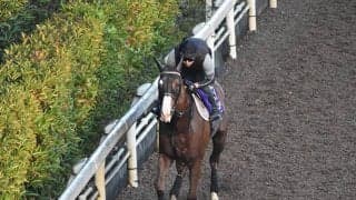 【チャンピオンズC「見逃せない調教師」ベスト3】中京ダート1800mで最も安心して狙えるのは○○調教師