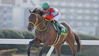 【AI予想】波乱も期待できるが上位馬も安定　チャンピオンズCで穴党ならずとも気になる1頭