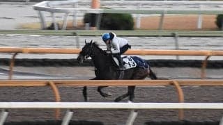 【チャレンジC「見逃せない調教師」ベスト3】阪神芝2000mでベタ買いでもプラスになる調教師は？