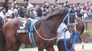 ヘラルドバローズは来年のサウジダービー登録へ、27日のカトレアSで3着