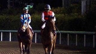 【クイーン賞】ルメール「反応しなかった」リネンファッションは8着