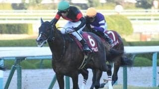 【朝日杯FS想定】デビュー3連勝中のセリフォス、藤田晋氏所有の2戦2勝馬ドーブネなど