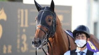 【チャンピオンズC展望】ダートの頂上決戦、あの馬の巻き返しを期待したい