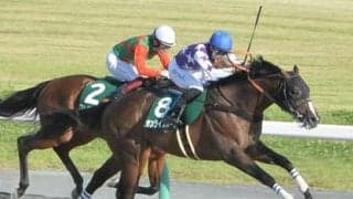 チャンピオンズＣは今年のダート戦線でめっぽう強い「エーピーインディ系」から２頭を厳選