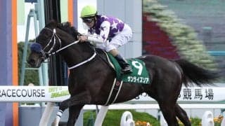 サンライズソアが競走馬登録抹消