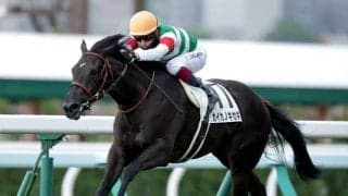 【全日本2歳優駿 登録馬】函館2歳S2着のカイカノキセキ、鎌倉記念を制したシルトプレなど