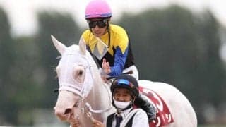 【チャンピオンズC枠順確定】連覇狙うチュウワウィザードは7枠13番、初ダートのソダシは1枠1番