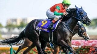 【次走】ユーバーレーベンは京都記念へ　手塚師「選出されたらドバイに行きたい」