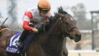 ダノンスマッシュは香港スプリントがラストラン　引退後は種牡馬入りの予定