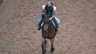 【JRA新馬戦】ジェンティルドンナの仔マリーナドンナなどがデビュー