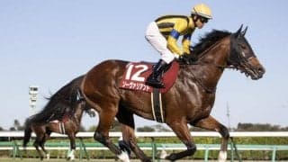 【チャレンジC出走馬・騎手確定】ソーヴァリアント＆ルメール騎手、ジェラルディーナ＆福永祐一騎手など11頭