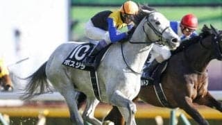 【ステイヤーズS出走馬・騎手確定】ボスジラ＆菅原明良騎手、アイアンバローズ＆石橋脩騎手など13頭