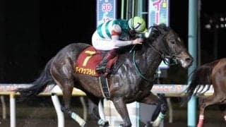 【クイーン賞回顧】鞍上の好判断でダイアナブライト/斎藤修