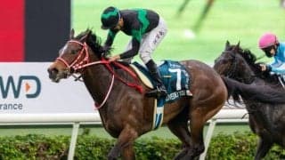 【香港国際競走】栗東所属の日本馬8頭が香港に到着