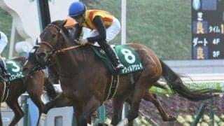 昨年のシルクロードS覇者アウィルアウェイが引退、繁殖馬に