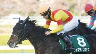 【次走】京都2歳S覇者ジャスティンロックは放牧へ　吉岡師「弥生賞から皐月賞を目指したい」