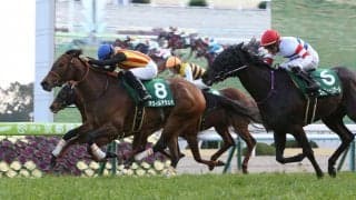 アウィルアウェイが競走馬登録抹消