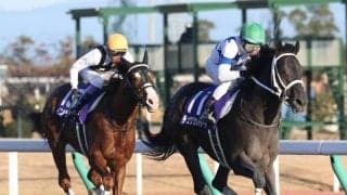 【チャンピオンズC】ソダシは1枠1番