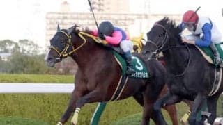 チャンピオンズＣの頭はソダシ。それでも上昇気流に乗る伏兵２頭が高配当を運んでくる