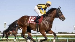 【チャレンジC枠順確定】ソーヴァリアントは大外8枠11番、ジェラルディーナは1枠1番