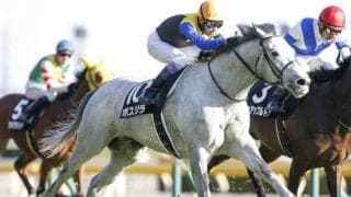 【ステイヤーズS枠順確定】ボスジラは6枠9番、アイアンバローズは4枠5番