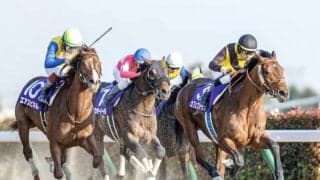 【チャンピオンズC予想】魅力的な伏兵が多い一戦　”激走の余地”がある馬は？