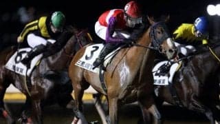 【船橋・三里塚賞結果】2番人気のギガキング、前走ダービーGPに続き連勝