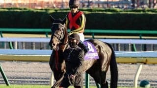 【次走】ジャパンカップ3着のシャフリヤールは年内休養　藤原師「来年に向けて」