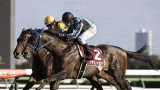 【次走】アサマノイタズラは有馬記念を目標　今年のセントライト記念覇者