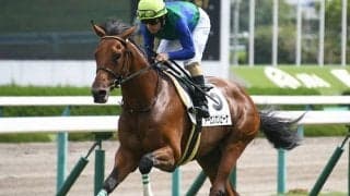 【ステイヤーズS予想】アルバート、トウカイトリックは異例!? 国内最長距離レースは「前走人気」が重要