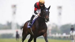 【チャレンジC予想】馬券圏内「50%」も前走GI組が危ない!? その裏にある真実とは…