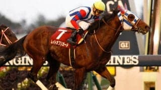 【JRA】ムイトオブリガードが引退、馬事公苑で乗馬に　2019年アルゼンチン共和国杯覇者