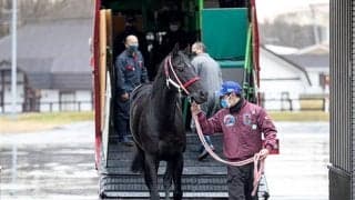 コントレイルが社台スタリオンステーションに到着「日本の宝を預かった気分です」