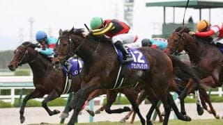 グランアレグリアの引退式を中山競馬場で開催